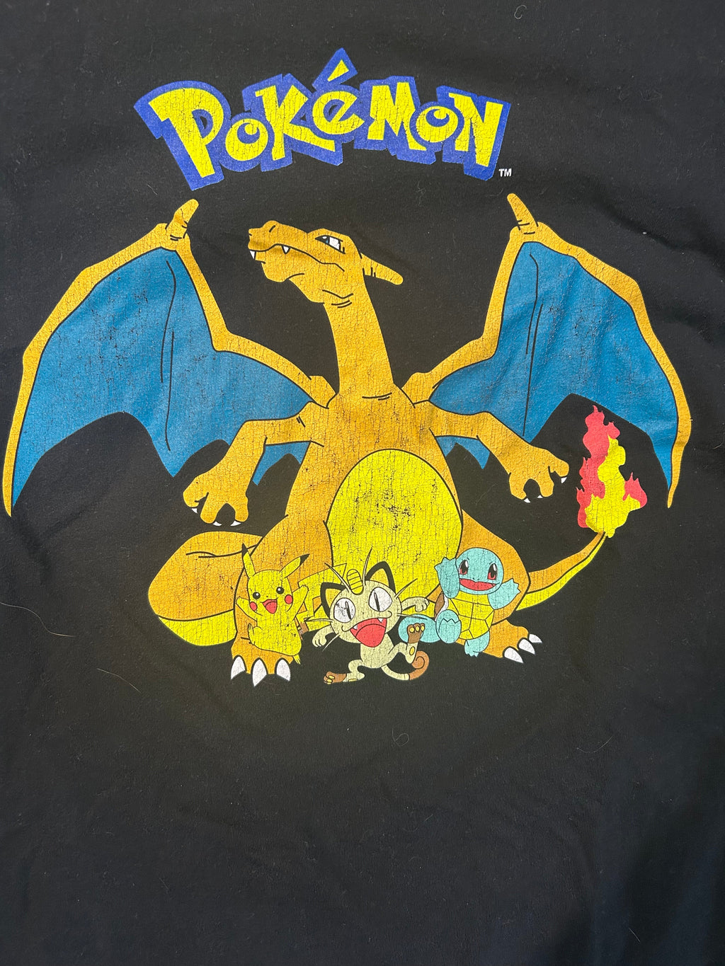 Reprint Pokémon Team Tee