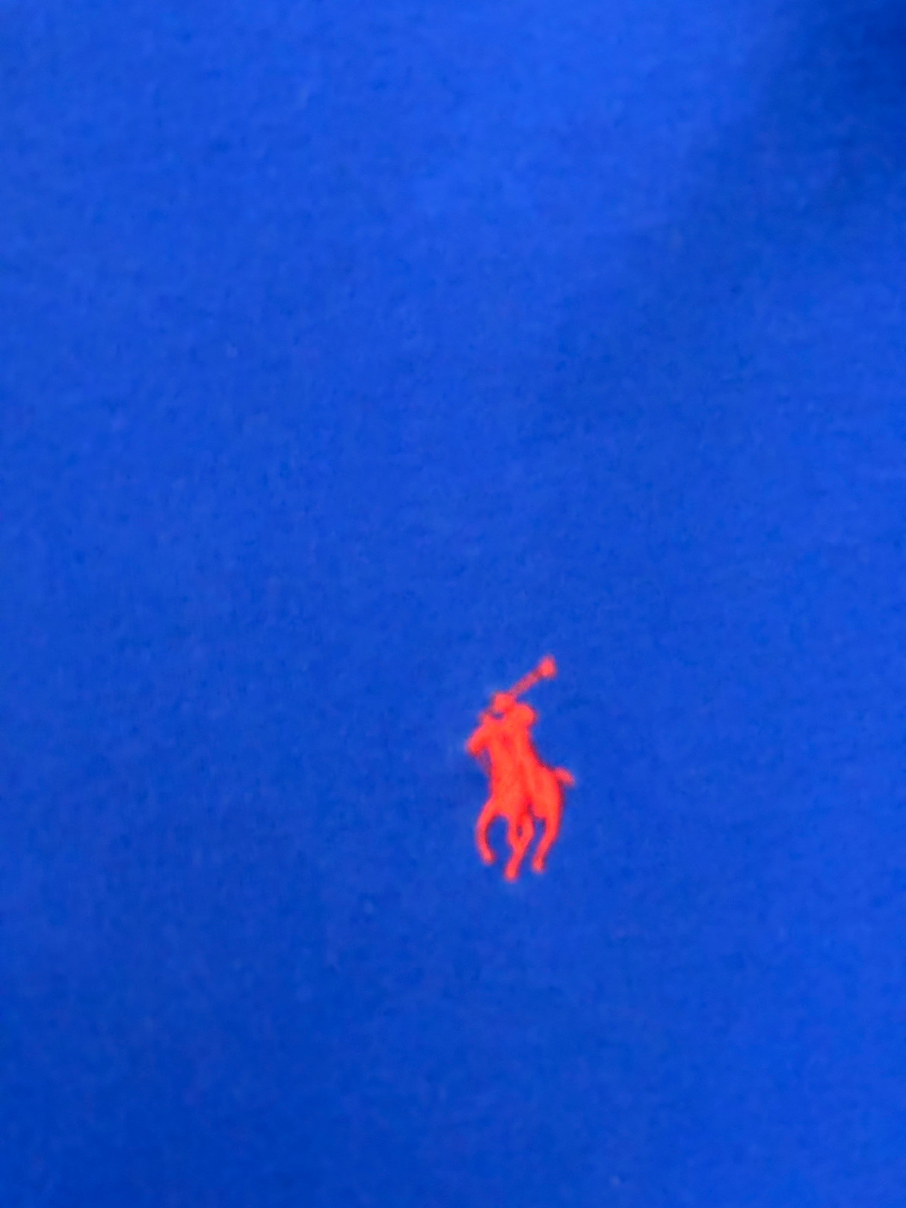 Polo Ralph Lauren Blue polo