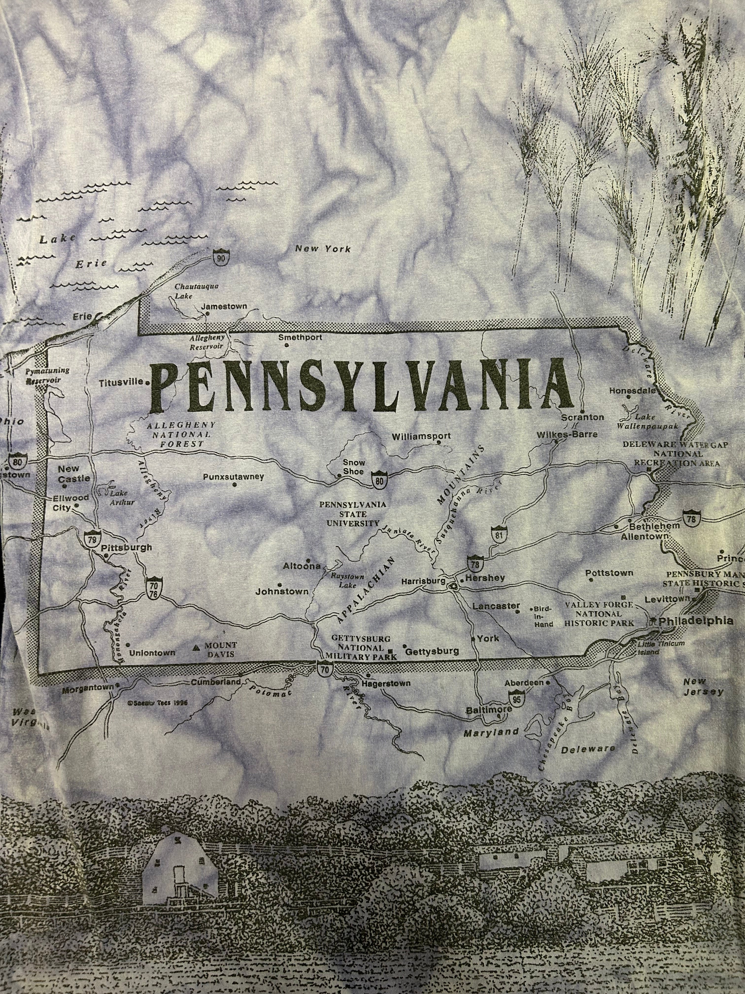 Vintage AOP Pennsylvania Map Tee