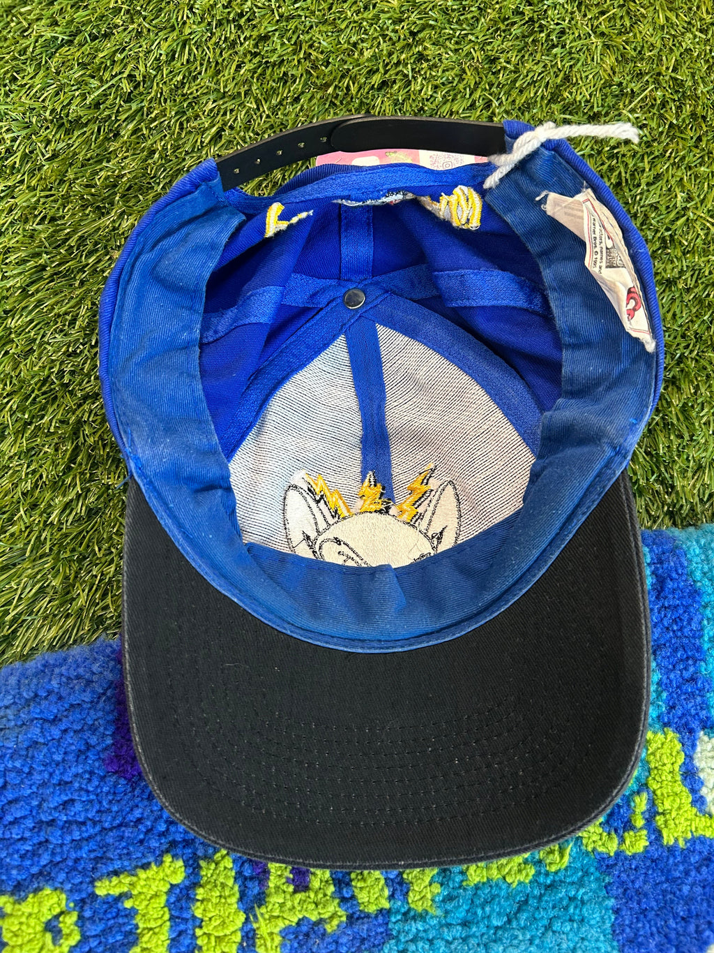 Vintage 1995 Animaniacs Pinky And The Brain Snapback