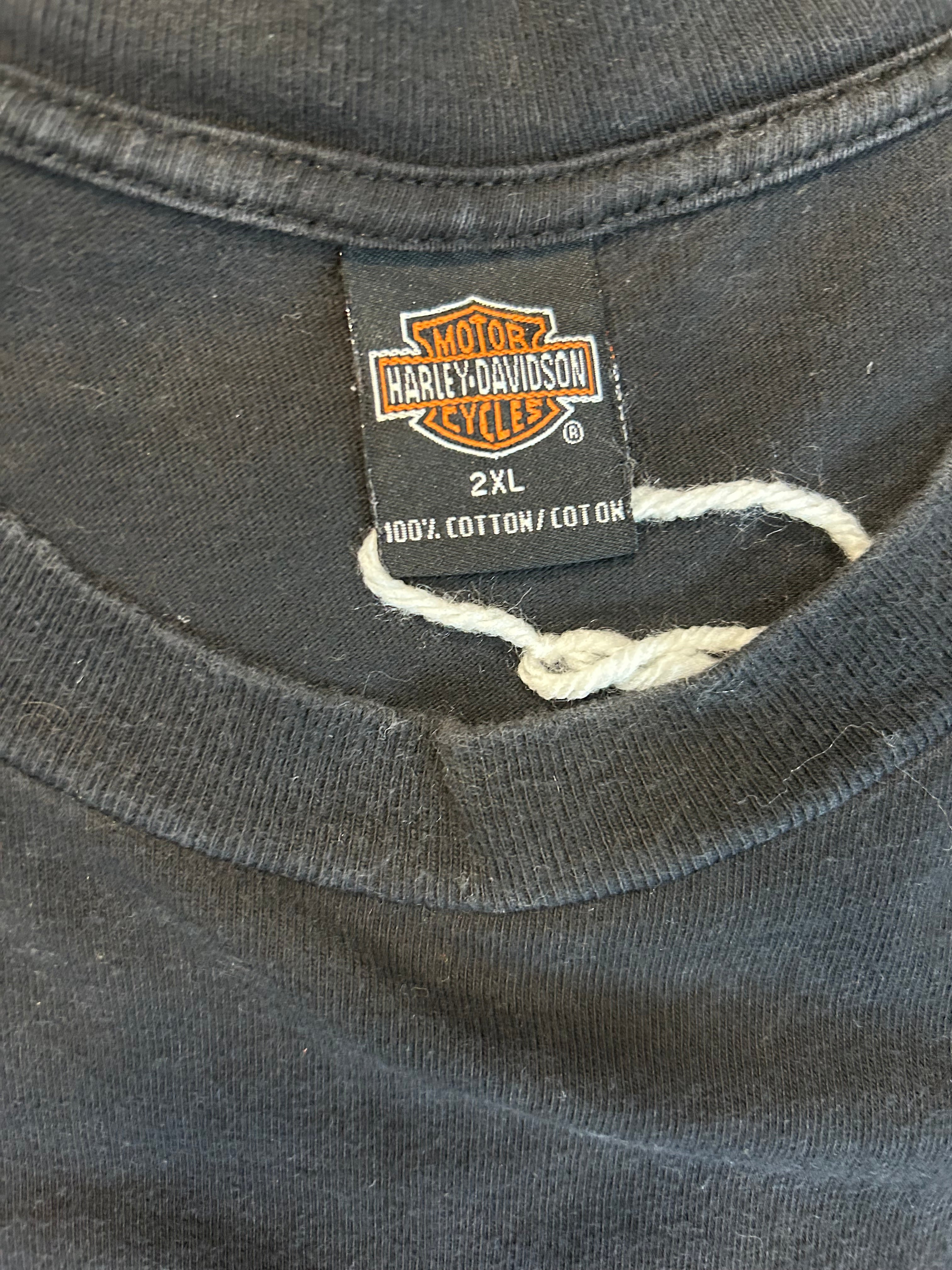 Y2K Harley Davidson Legends Roar Where Legends Soar Tee