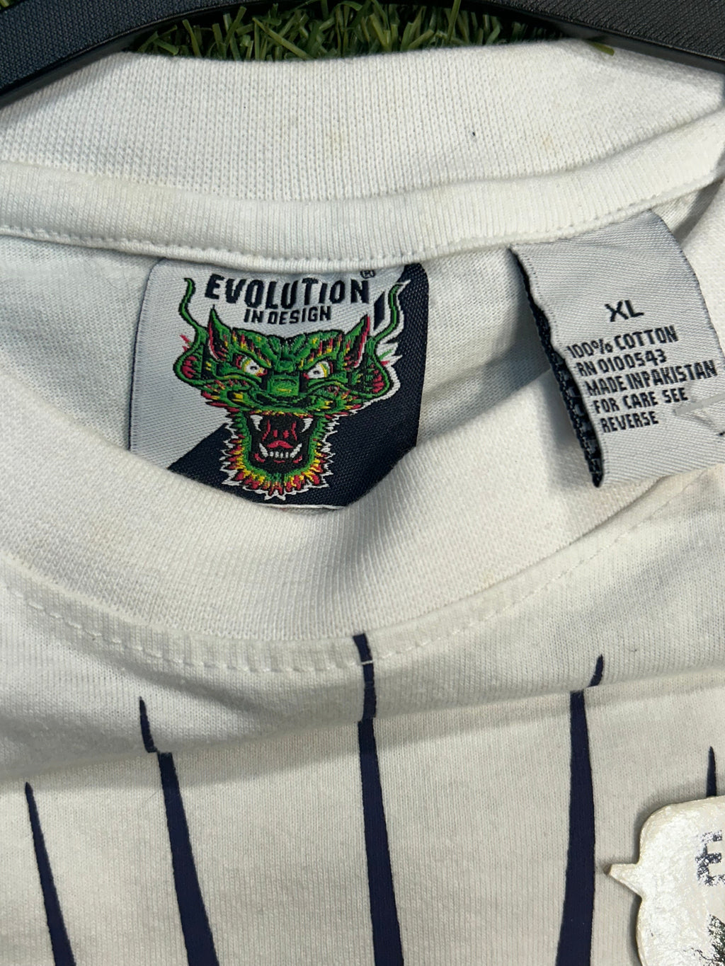 Evolution In Design Dragon Tee