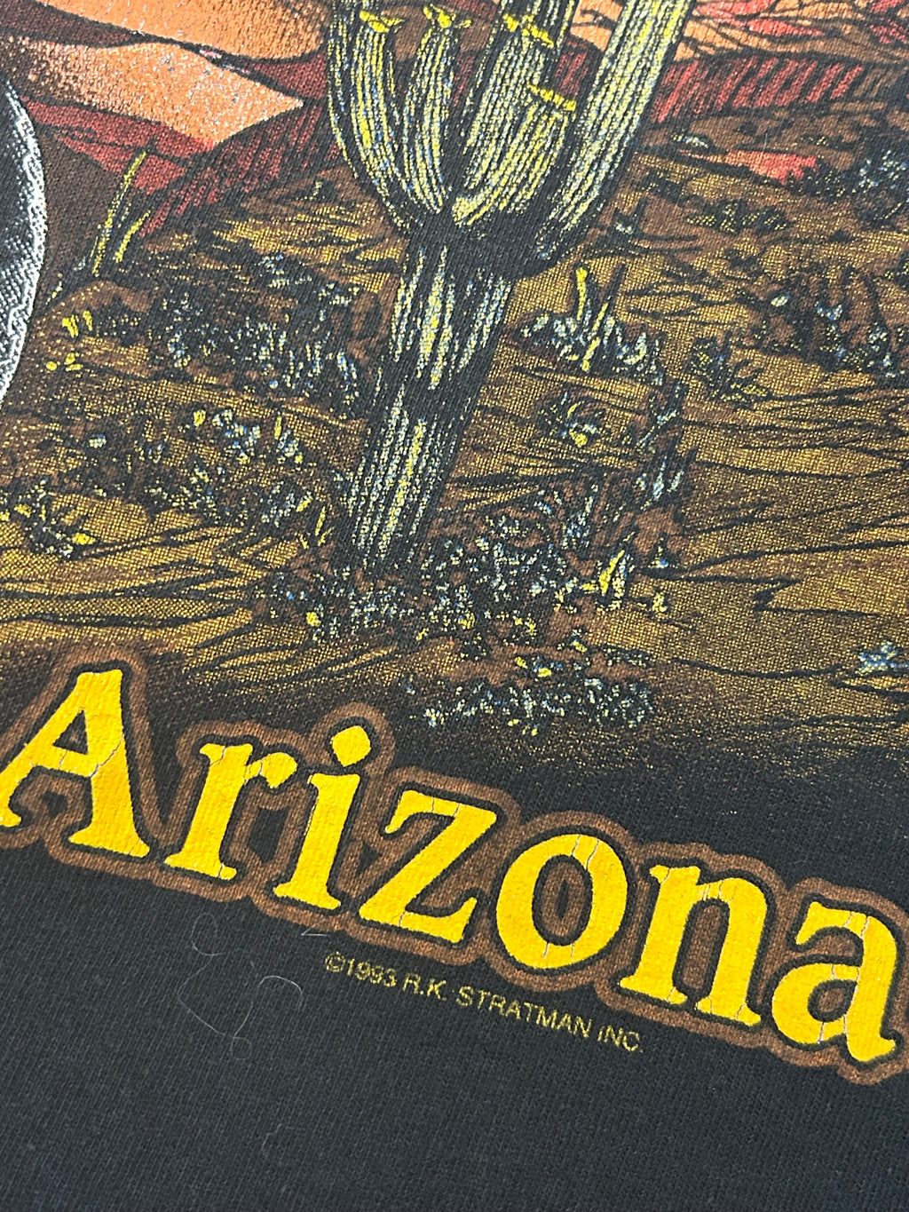 Vintage 1993 Can’t Chain The Power Harley Davidson Cropped Tee
