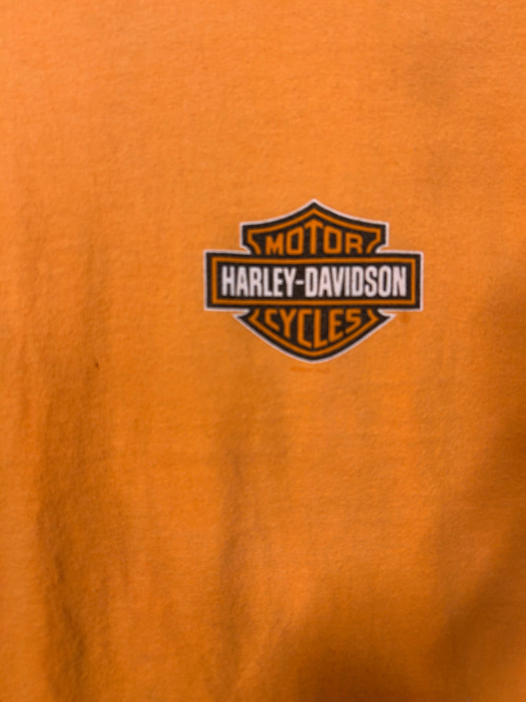 Vintage Harley Davidson Traverse City Michigan Motor Sports Classic Tee