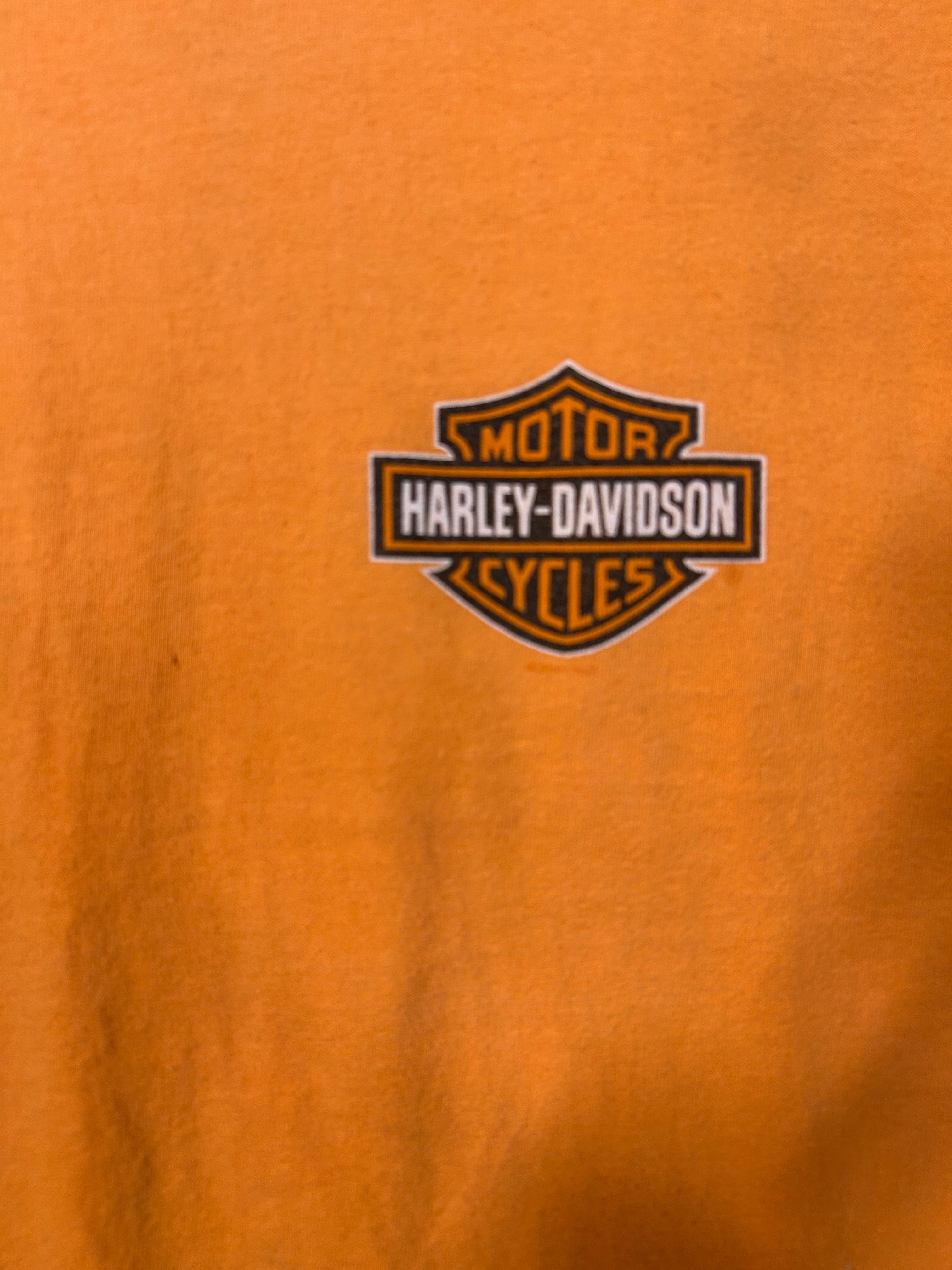 Vintage Harley Davidson Traverse City Michigan Motor Sports Classic Tee