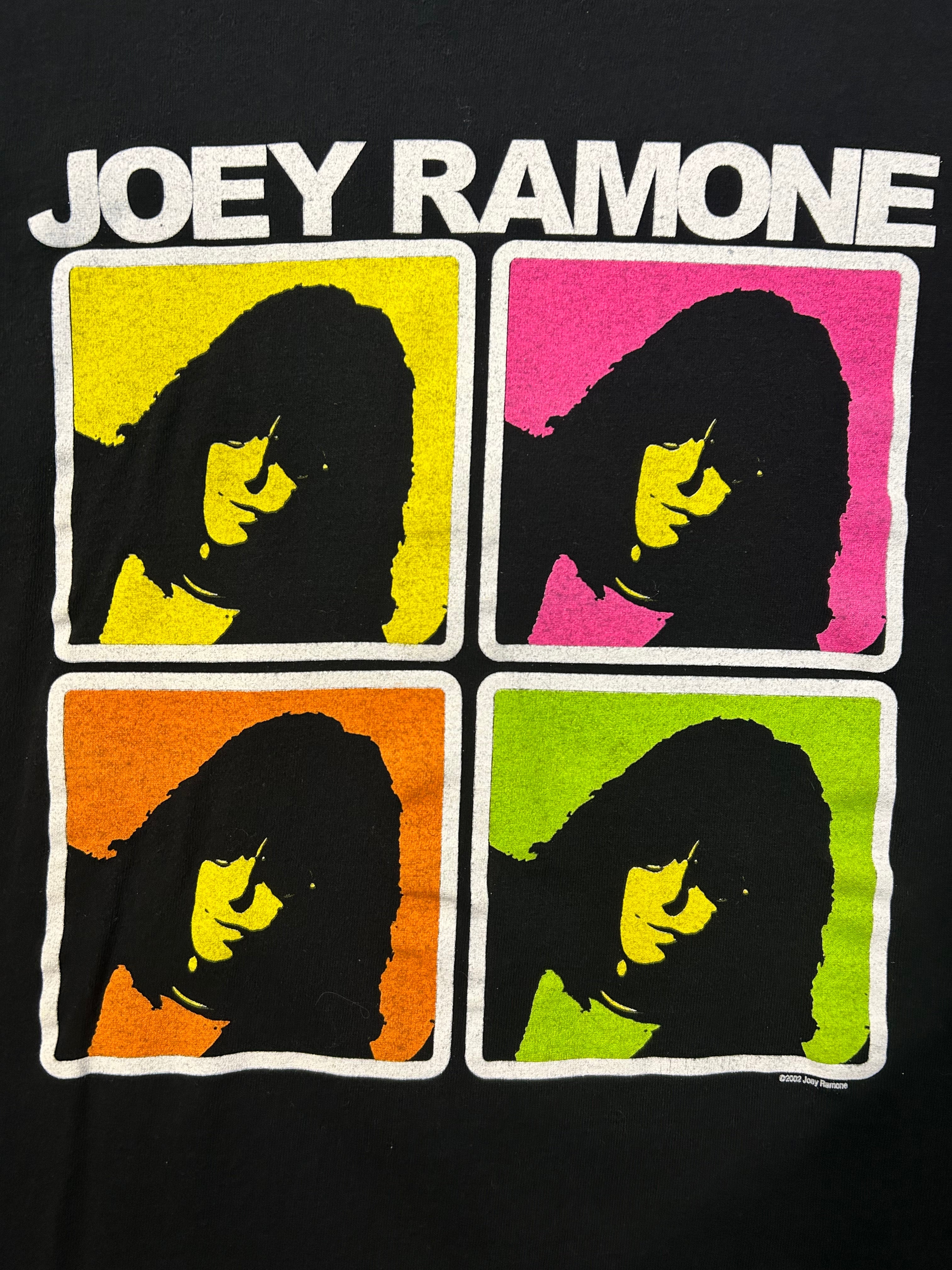 2002 Joey Ramone Band Tee