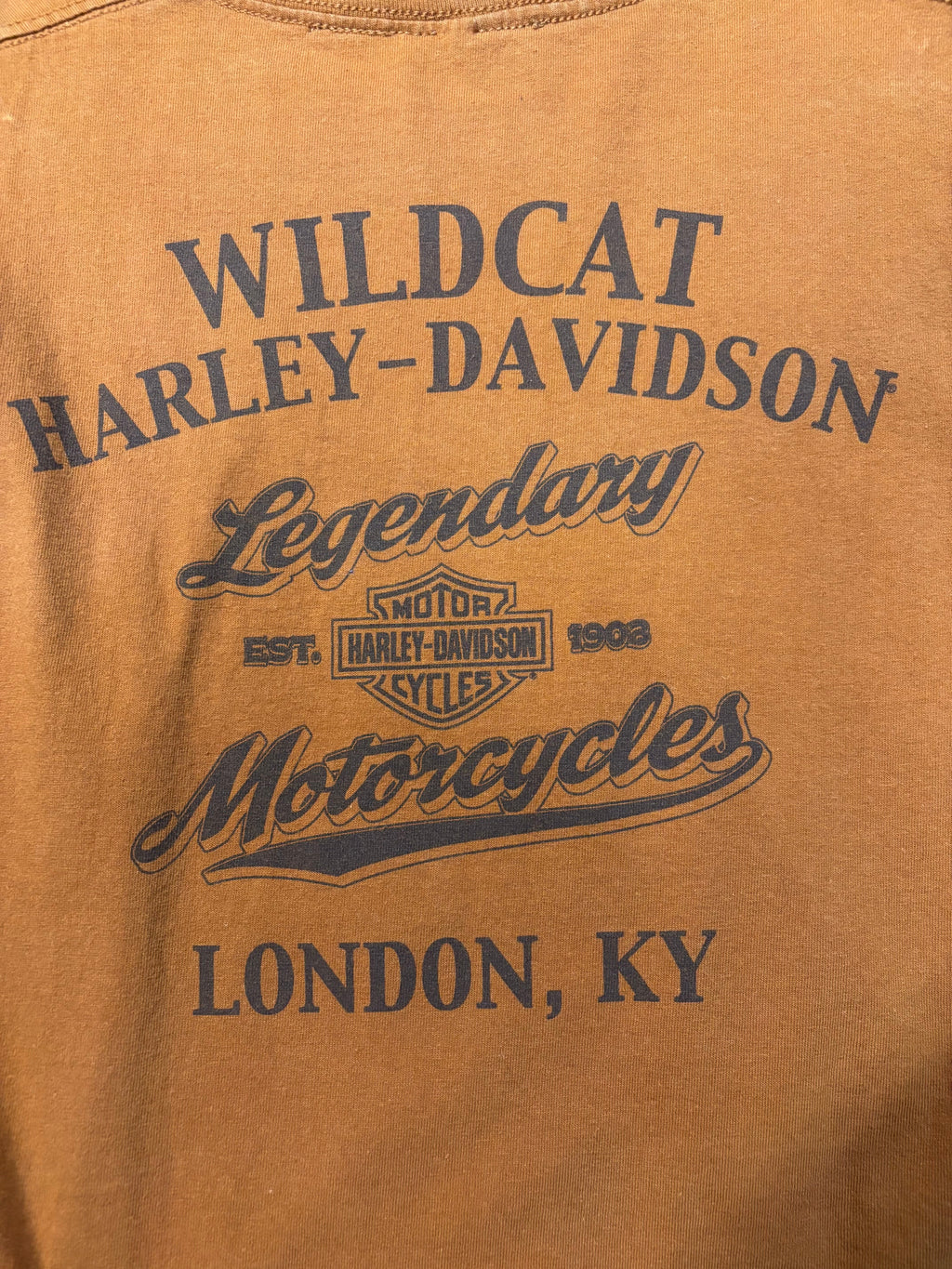 Vintage Harley Davidson London, KY wildcats tee