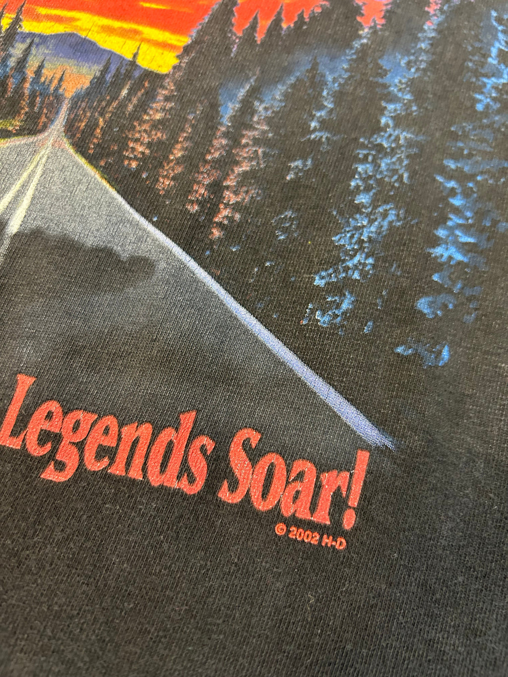 Y2K Harley Davidson Legends Roar Where Legends Soar Tee