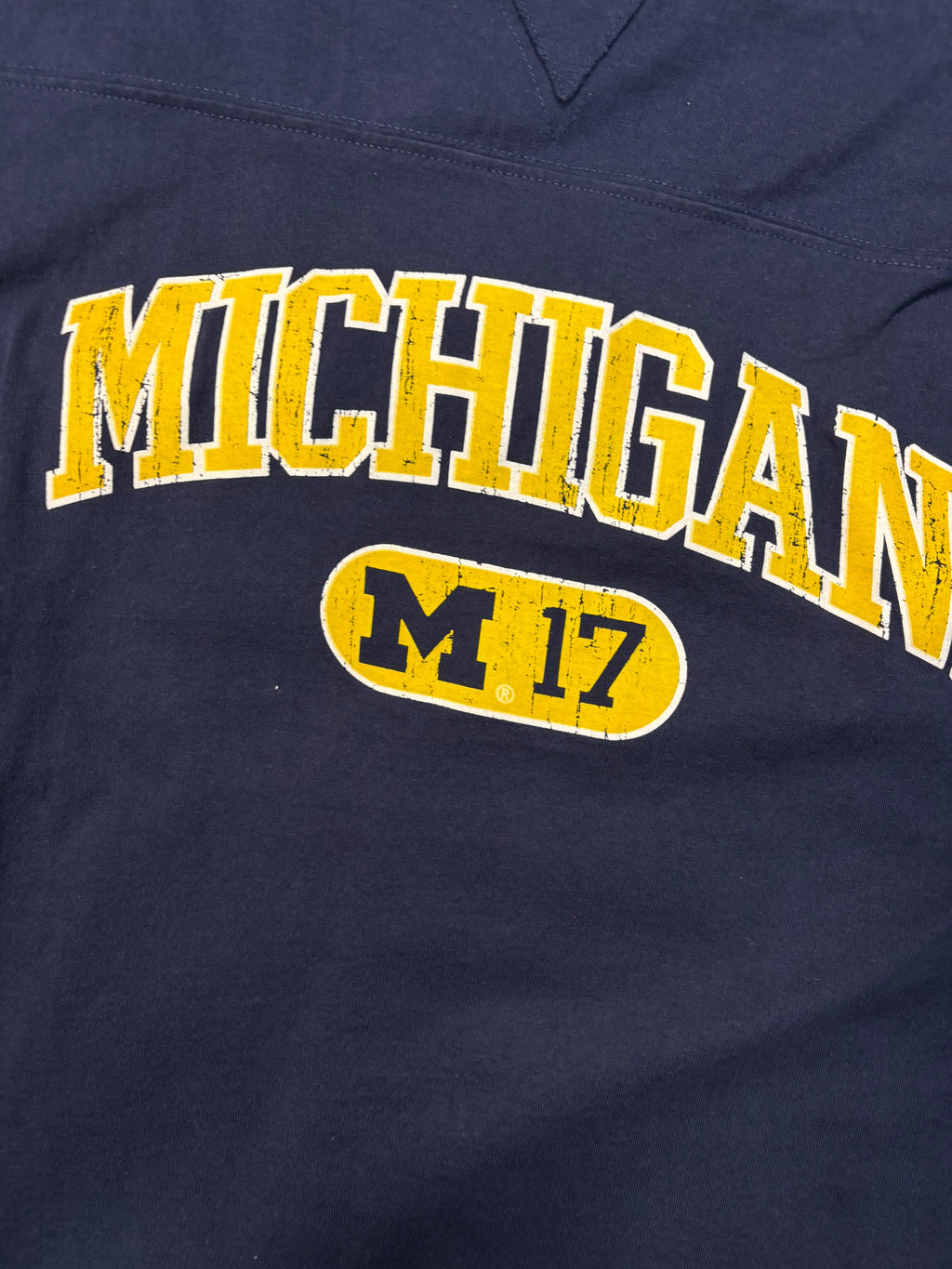 Vintage Michigan University L/Sleeve J America Tee