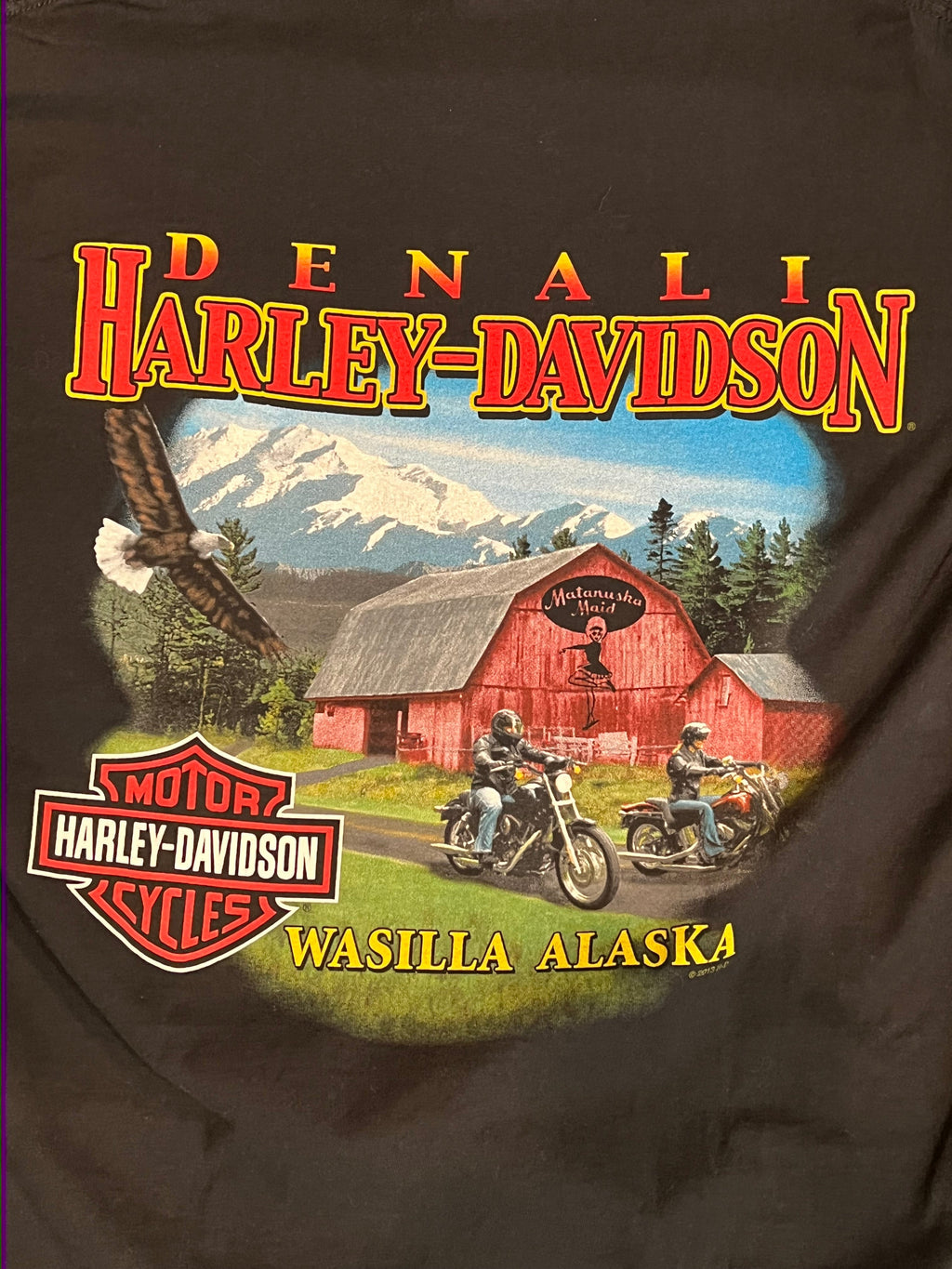 Vintage Harley Davidson “Alaska” Tee