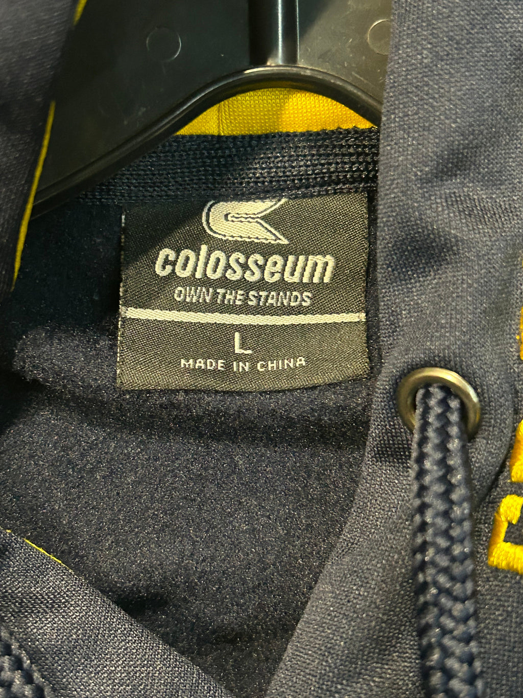 Y2K Michigan University Thermal Hoodie