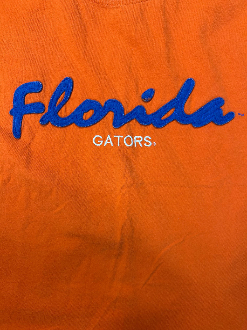 Vintage NCAA Florida Gators Tee