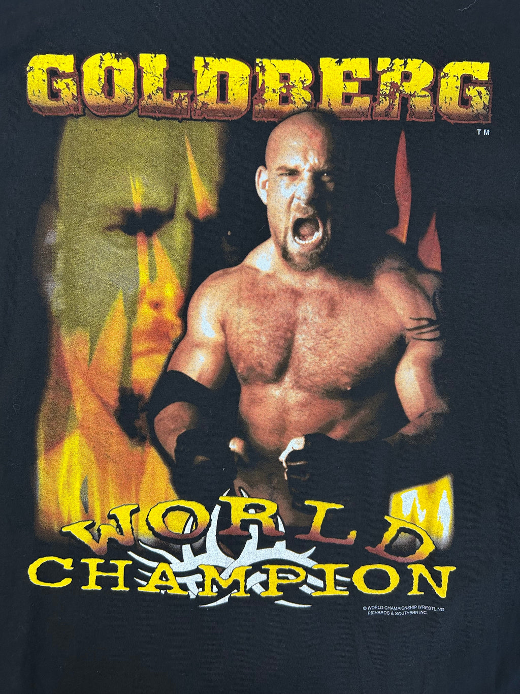 Vintage 90s Goldberg World Champion Tee
