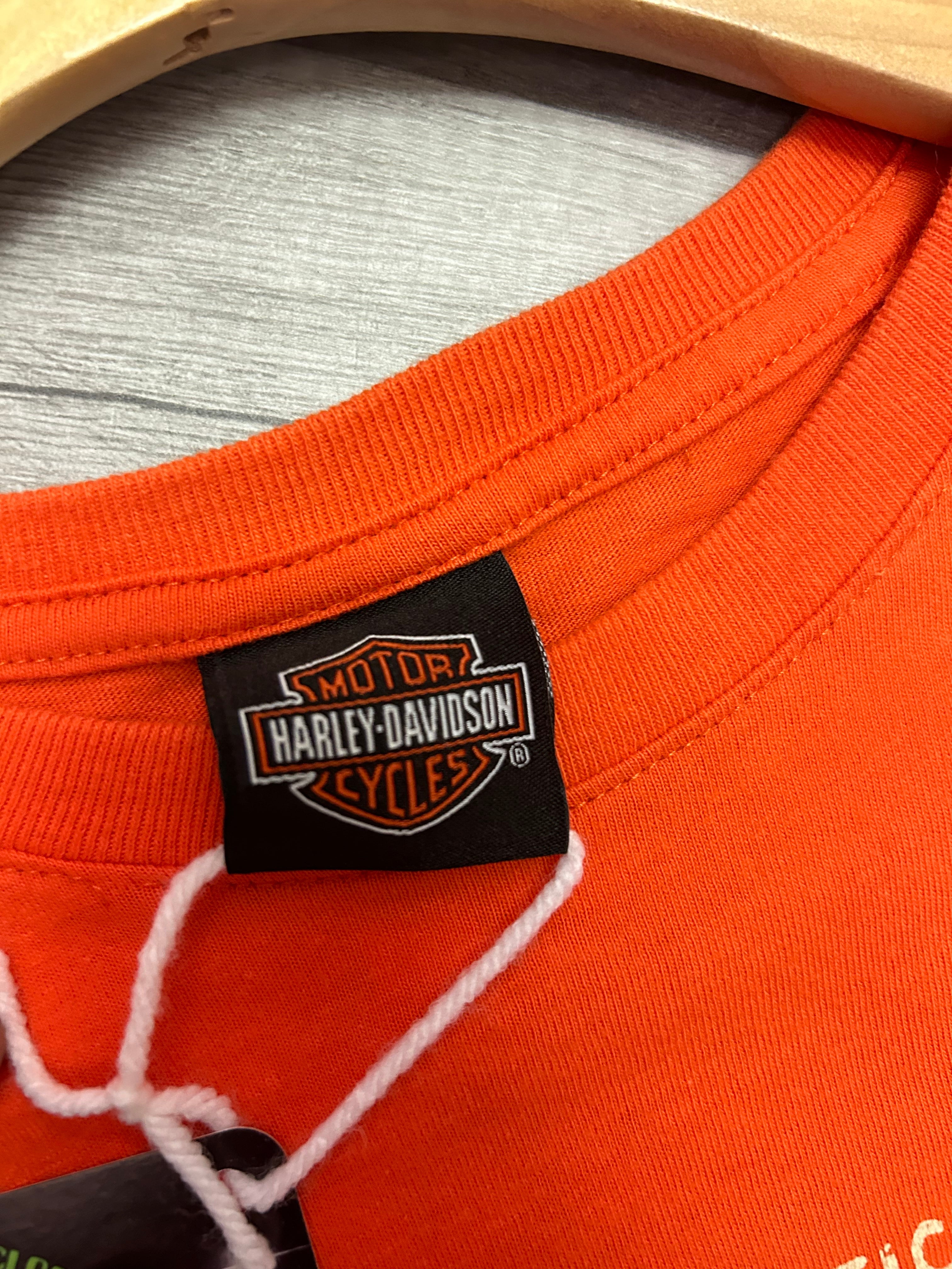 Retro Style 2015 Harley Davidson Ottawa Ohio Tee