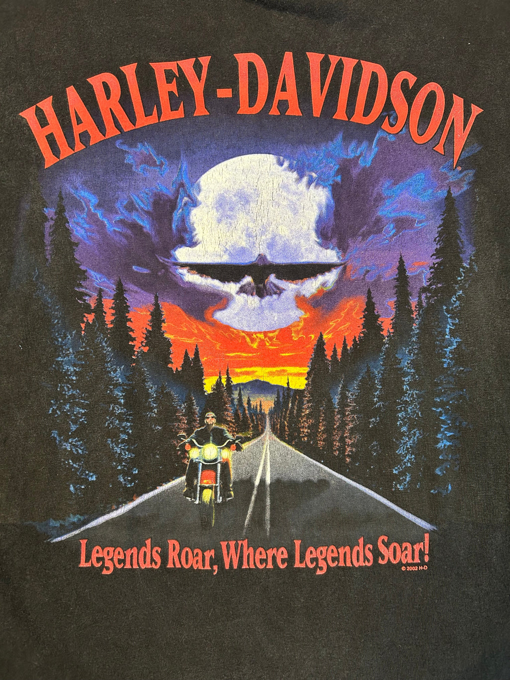 Y2K Harley Davidson Legends Roar Where Legends Soar Tee