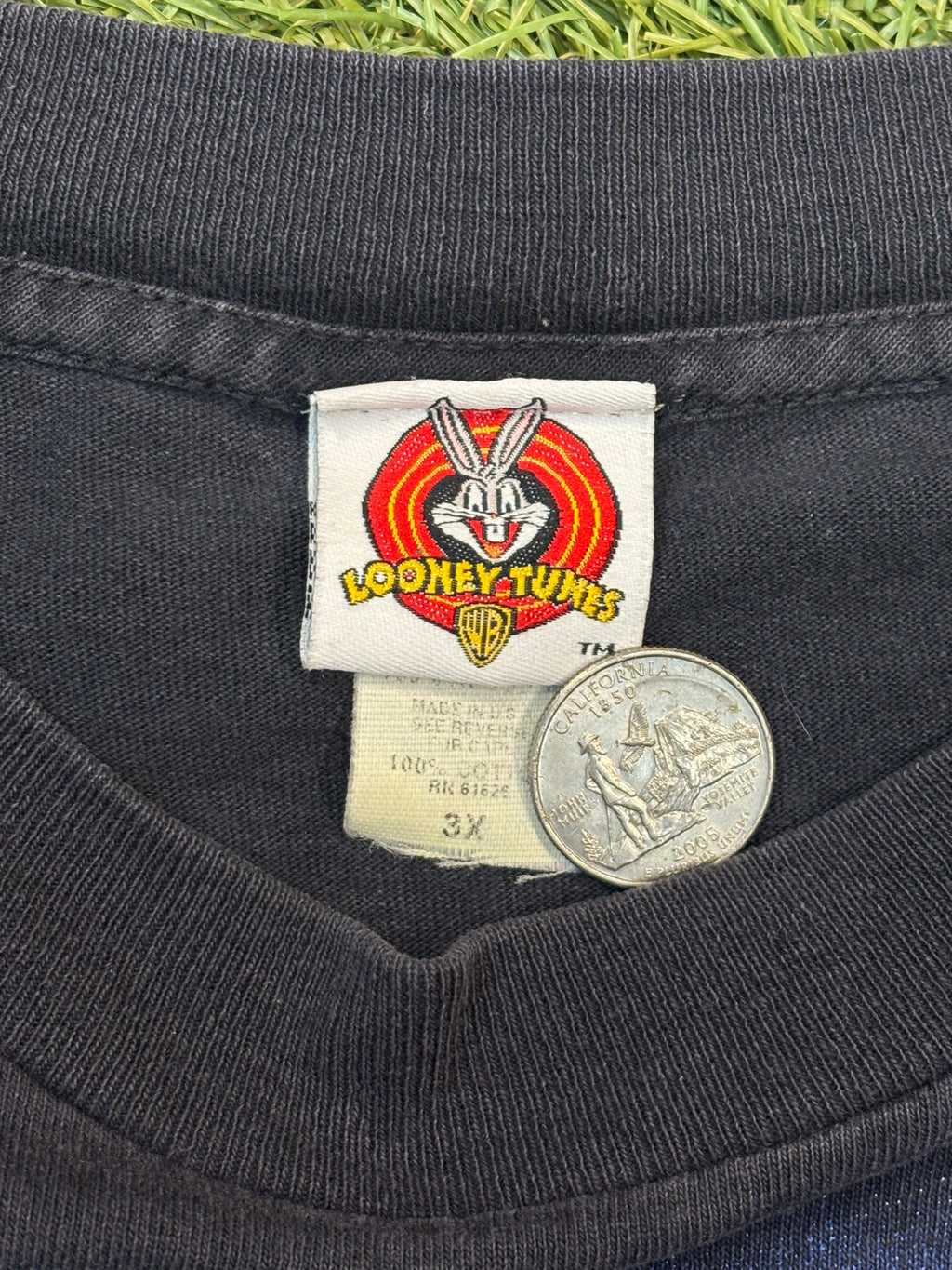 Vintage 1997 Tasmania Devil Biker Reflection Tee