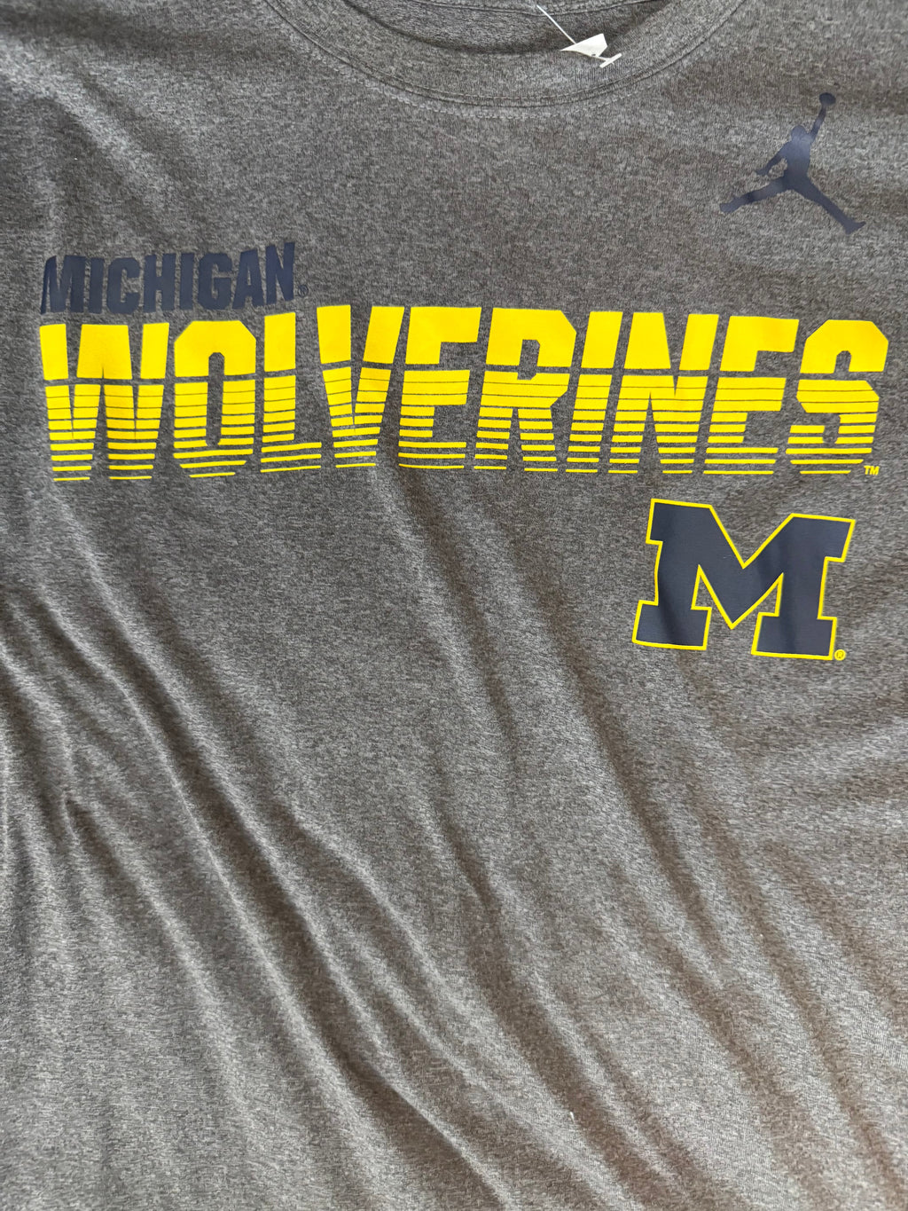 Jordan “Michigan Wolverines” L/S Tee