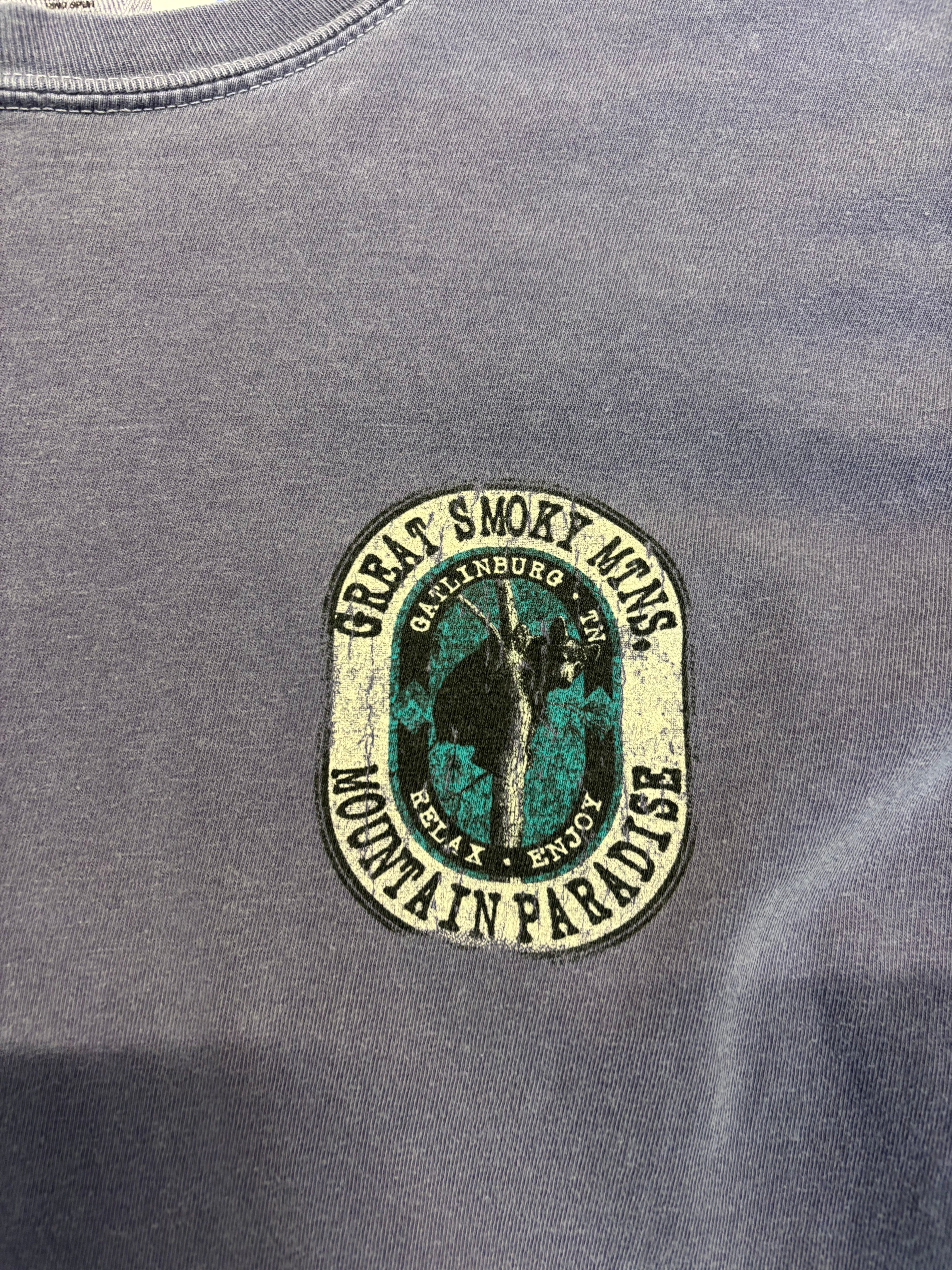 Y2K Great Smoky Mountains Long Sleeve Top