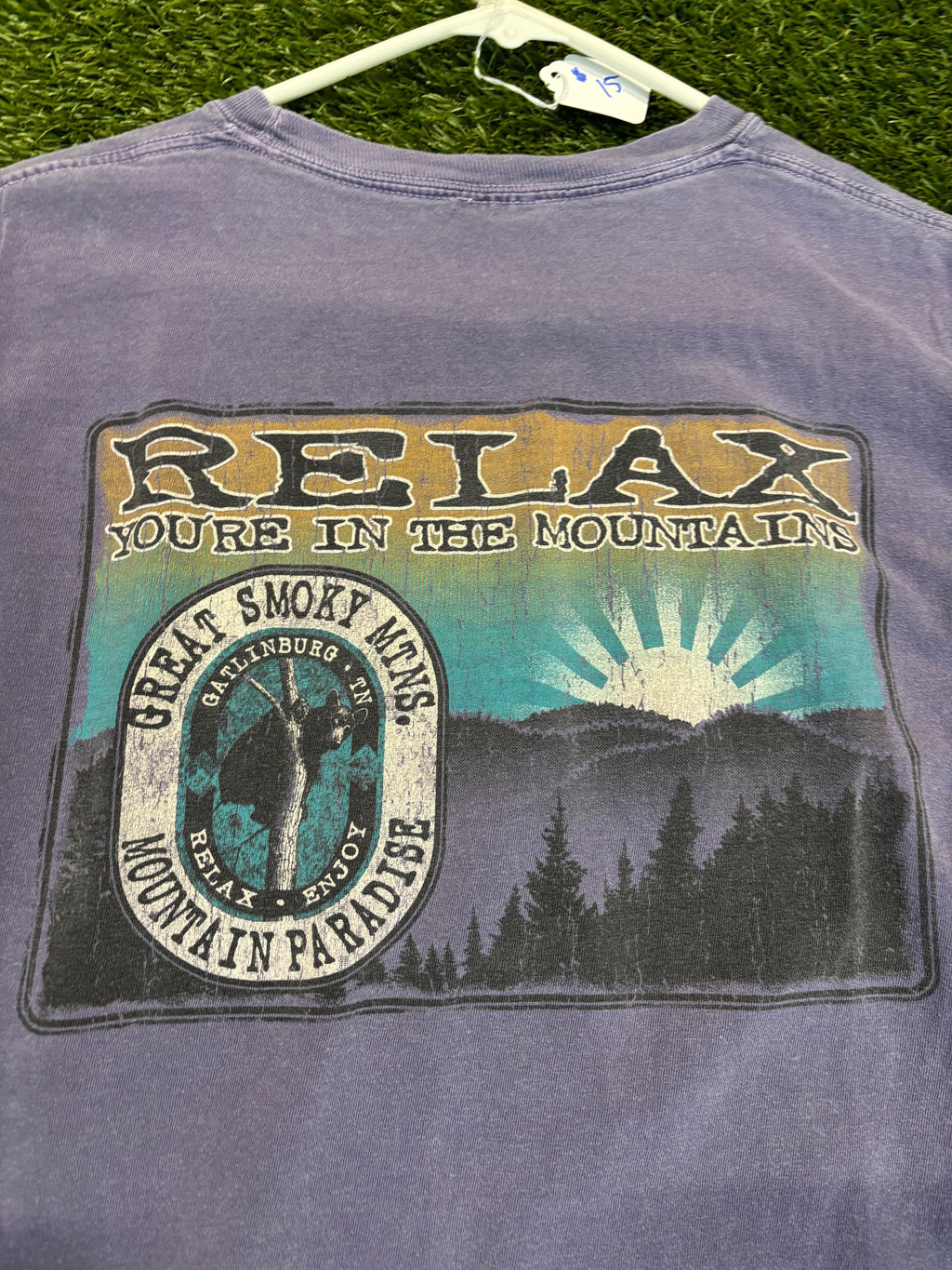 Y2K Great Smoky Mountains Long Sleeve Top