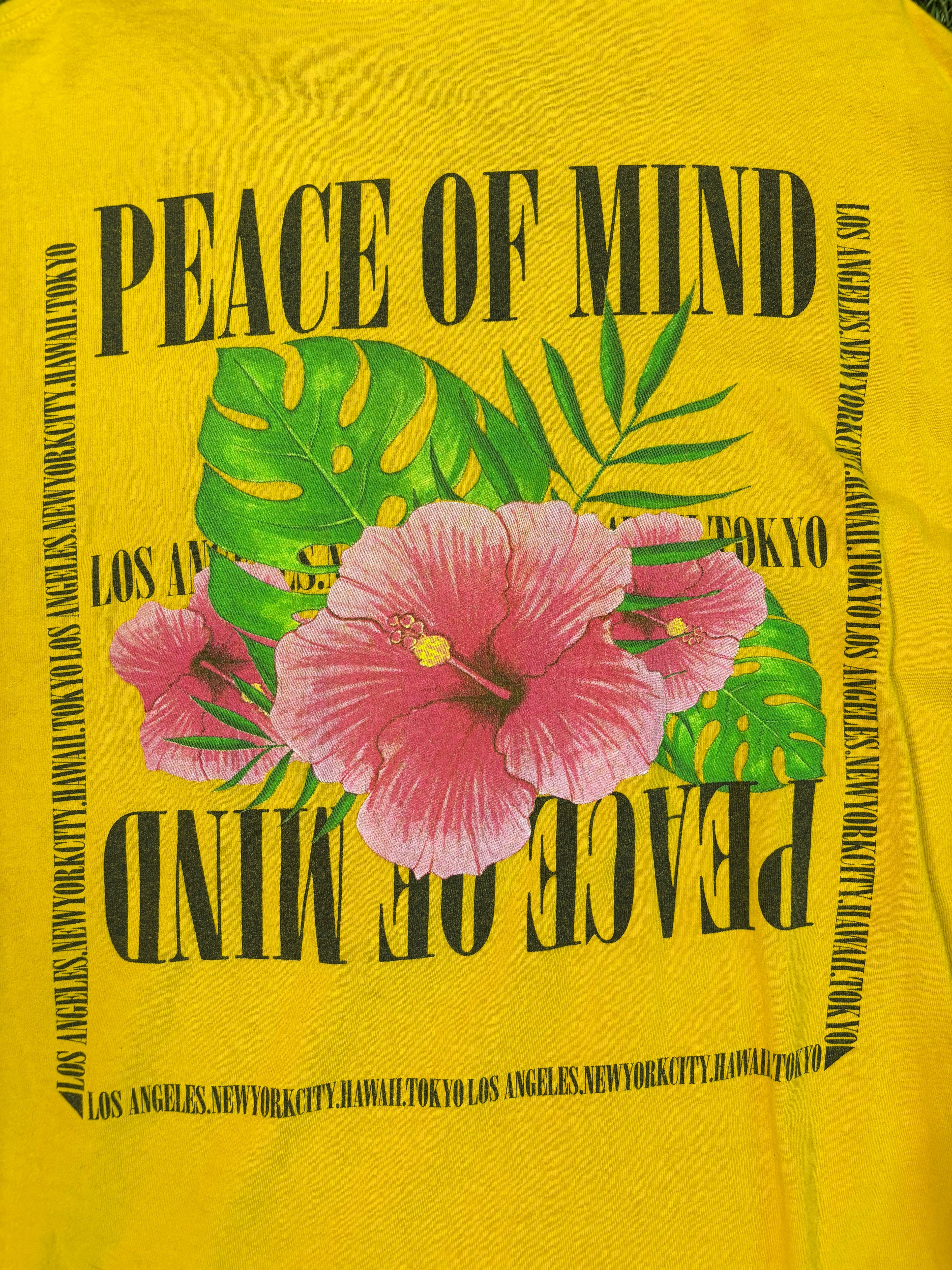 Pacsun Peace Of Mind Tee