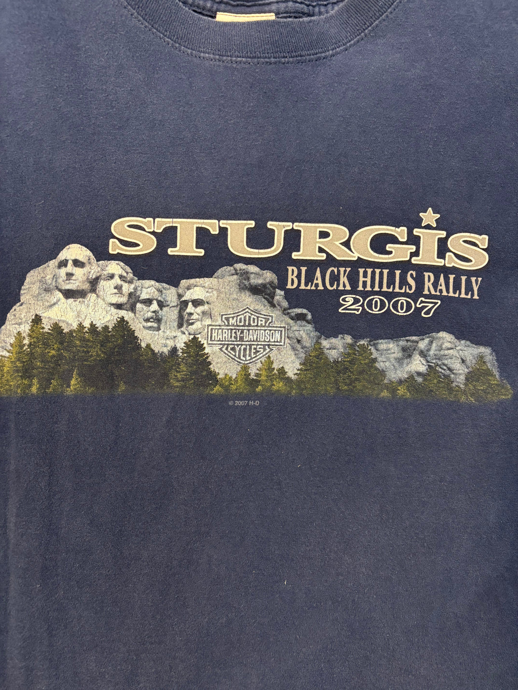 Harley Davidson sturgis South Dakota 20th anniversary
