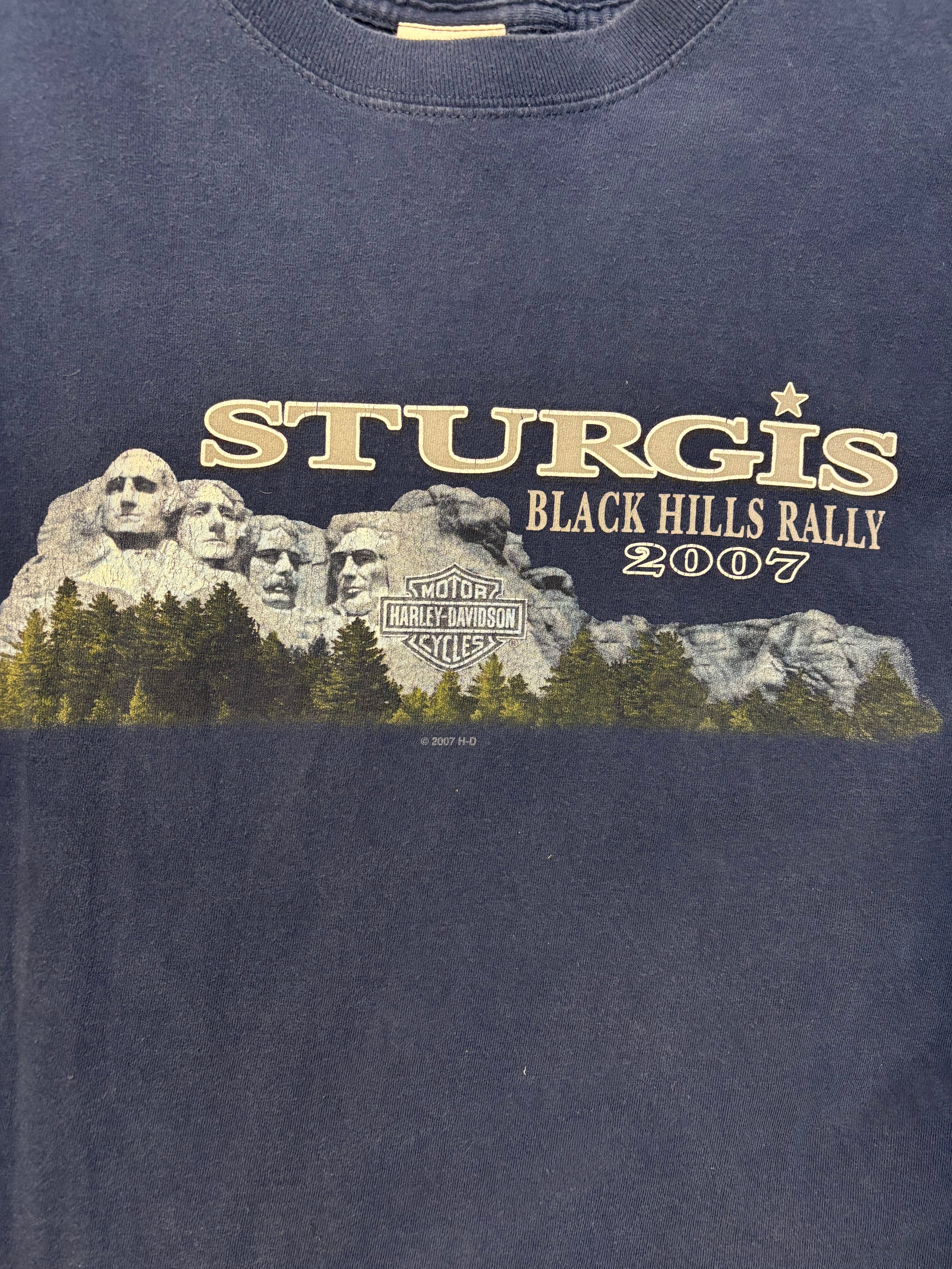 Harley Davidson sturgis South Dakota 20th anniversary