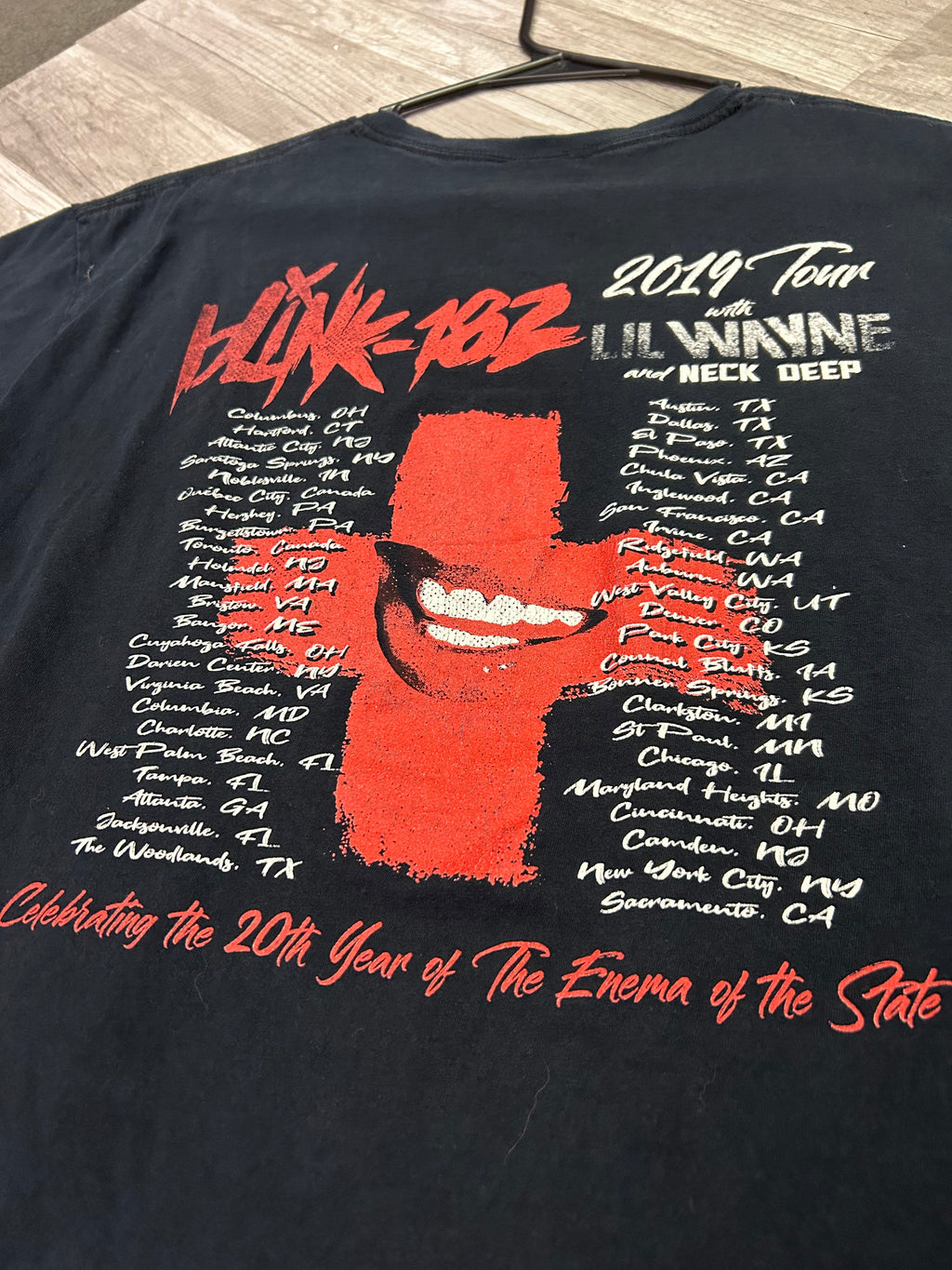 Vintage Blink-182 Tour Tee 2019
